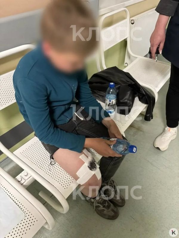 В Чкаловске стаффорд без поводка покусал двух 9-летних мальчиков В Чкаловске стаффорд без поводка покусал двух 9-летних мальчиков