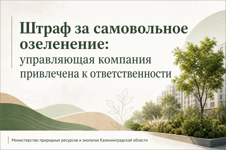 Штраф за самовольное озеленение: управляющая компания привлечена к ответственности