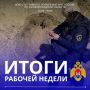 Подводим итоги. За прошедшую неделю на территории Калининградской области произошло 60 пожаров