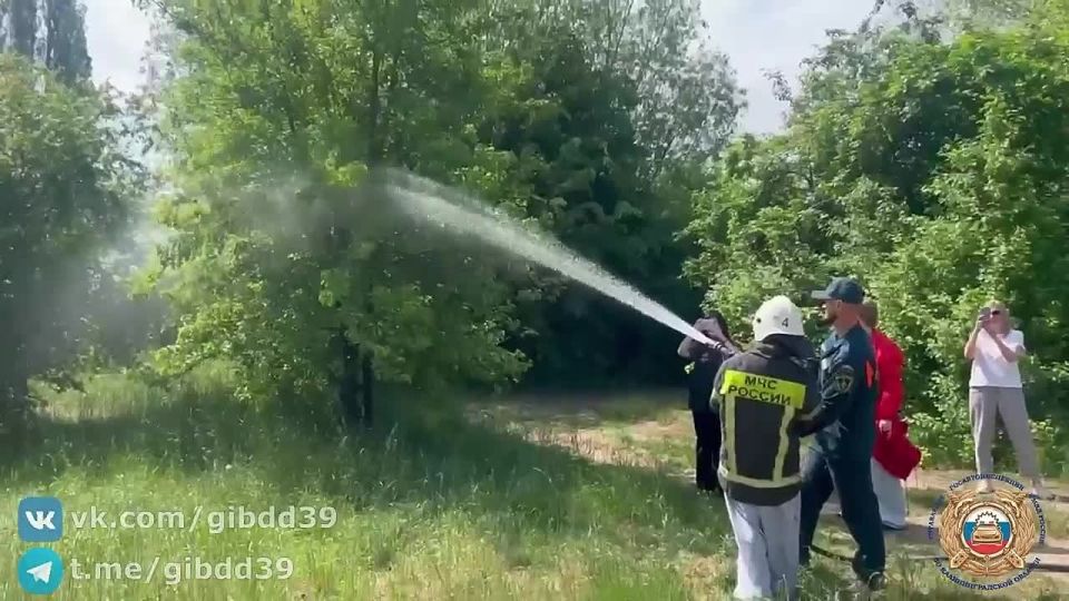 Сотрудники Центра ДиТН ПБДД ГИБДД приняли участи в мероприятии «Безопасное лето»