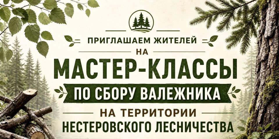 Приглашаем жителей на мастер-классы по сбору валежника на территории Нестеровского лесничества!