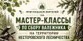 Приглашаем жителей на мастер-классы по сбору валежника на территории Нестеровского лесничества!