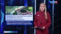 � �������� ���������� � ������� ������ ������� ������� � ����