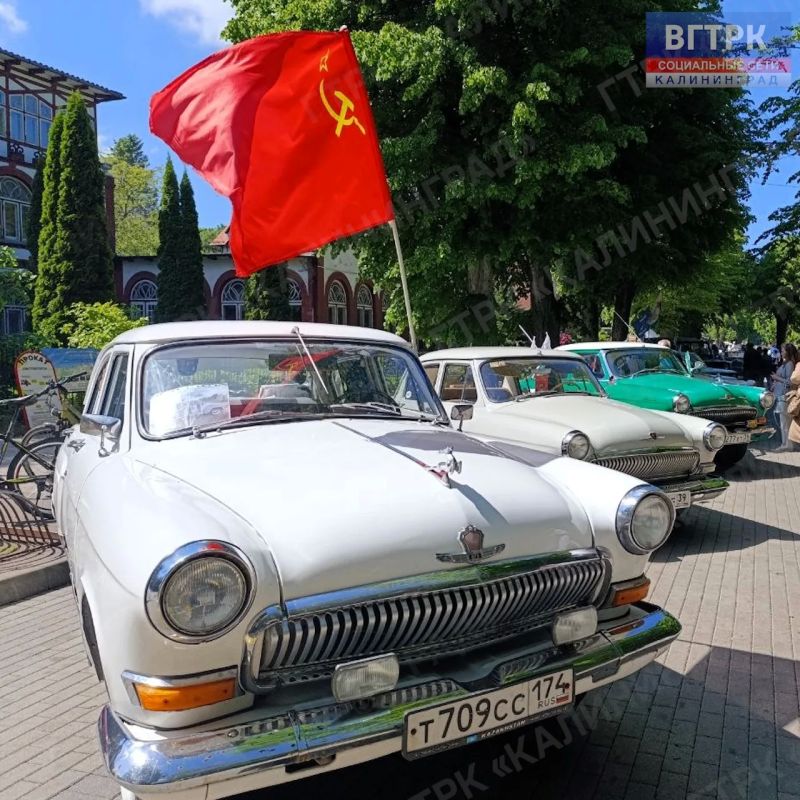 Сегодня Светлогорск с размахом отмечает День города, превратившись в одну большую и невероятно уютную праздничную площадку Сегодня Светлогорск с размахом отмечает День города, превратившись в одну большую и невероятно уютную праздничную площадку