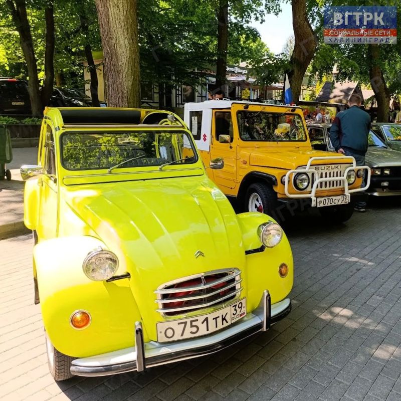Сегодня Светлогорск с размахом отмечает День города, превратившись в одну большую и невероятно уютную праздничную площадку Сегодня Светлогорск с размахом отмечает День города, превратившись в одну большую и невероятно уютную праздничную площадку