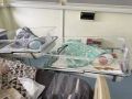 В Калининградском перинатальном центре за один день родились сразу две двойни