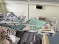 Двойное счастье: в Перинатальном центре Калининграда за день родились две двойни