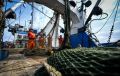 Оперативные данные: российские рыбаки добыли свыше 2 млн тонн