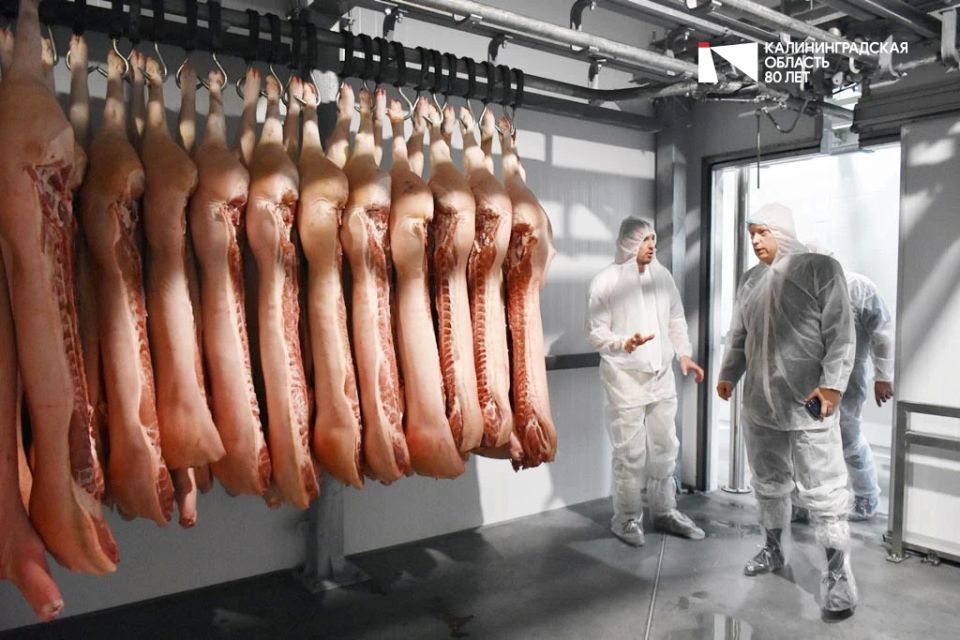 Торговая сеть холдинга «ПМК и мясокомбината «Гаврилов»» планирует вдвое нарастить производство мясных продуктов Торговая сеть холдинга «ПМК и мясокомбината «Гаврилов»» планирует вдвое нарастить производство мясных продуктов