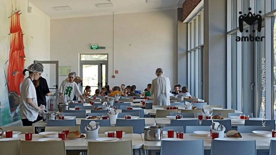 29 человек могли заразиться норовирусом в лагере "Алые паруса" от работника пищеблока