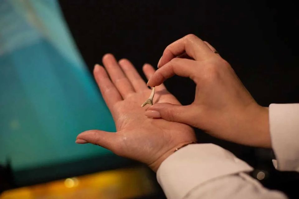 В Приморском карьере нашли окаменевшие раковины древних устриц, которым больше 30 миллионов лет В Приморском карьере нашли окаменевшие раковины древних устриц, которым больше 30 миллионов лет