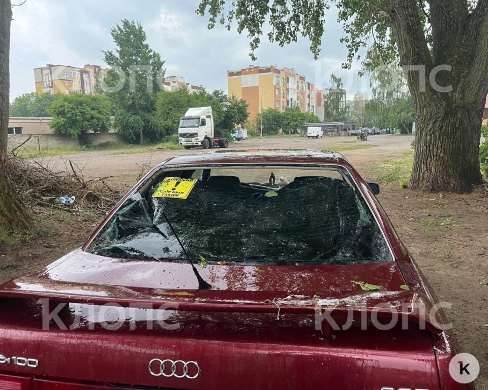 На крышу припаркованного под деревом автомобиля рухнула крупная ветка На крышу припаркованного под деревом автомобиля рухнула крупная ветка