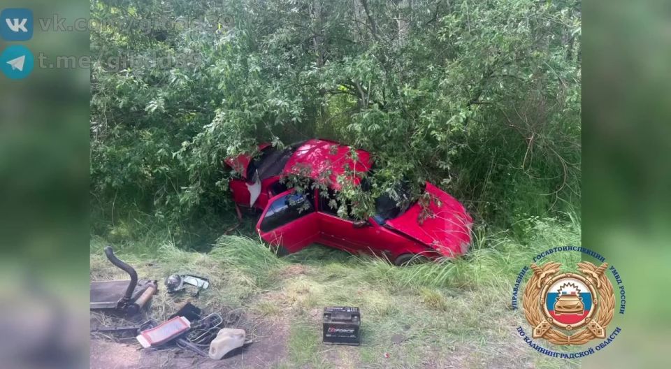 В Багратионовском районе алый BMW с 20-летним ассом за рулём вылетел с дороги