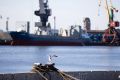 Порты Балтийского моря остаются в минусе на фоне роста грузооборота российских гаваней