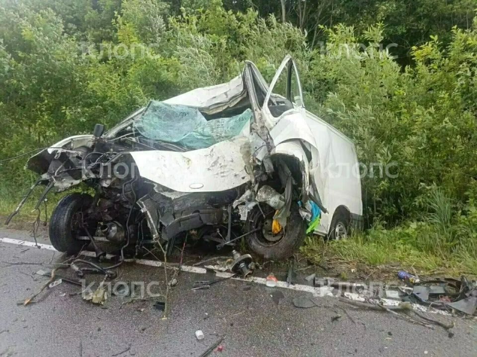 На Люблинском шоссе водитель микроавтобуса врезался в дерево и погиб На Люблинском шоссе водитель микроавтобуса врезался в дерево и погиб