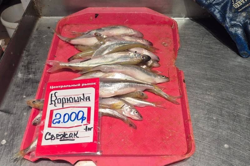 Парадокс Калининграда: рыба дороже, а местные яйца уезжают в Москву дешевле