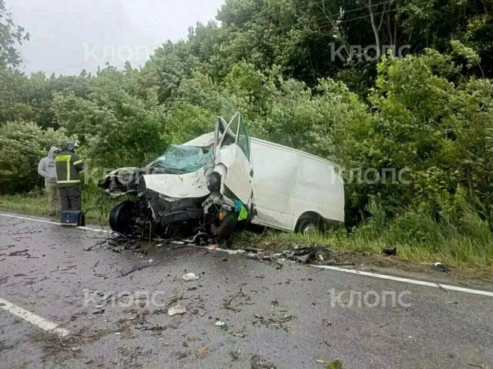 На Люблинском шоссе водитель микроавтобуса врезался в дерево и погиб На Люблинском шоссе водитель микроавтобуса врезался в дерево и погиб