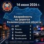 �� ����� ������������ ���������������� �������� 196 ��������� ������ ��������� ��������, � ��� �����: