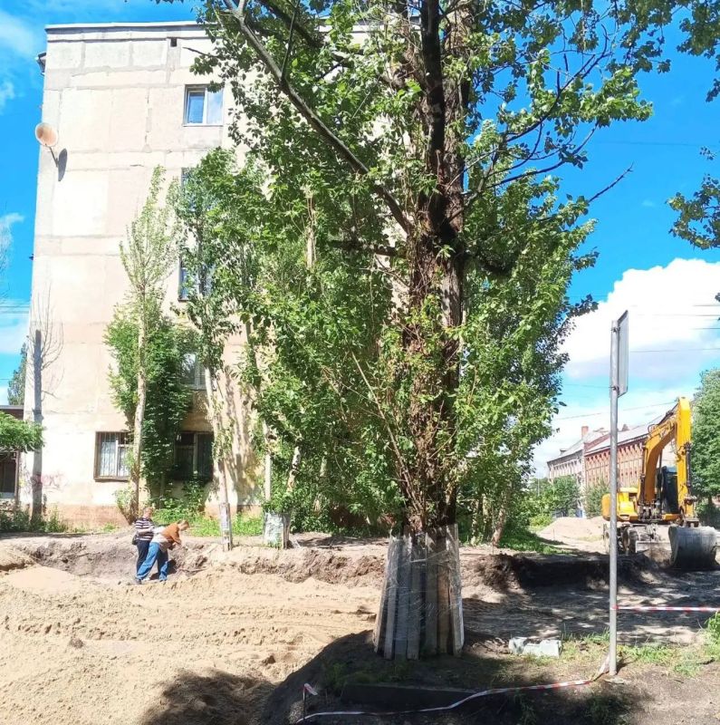 В Калининграде деревья не пережили встречу с подрядчиком, ремонтирующим дорогу на Полоцкой В Калининграде деревья не пережили встречу с подрядчиком, ремонтирующим дорогу на Полоцкой