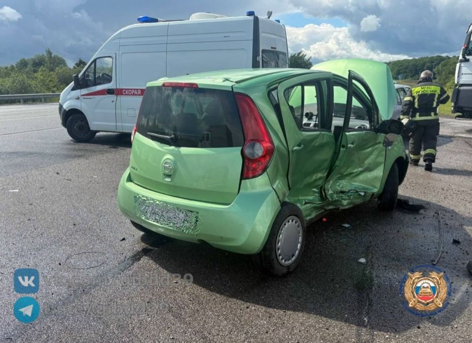 В Гурьевском районе на федеральной трассе А-229 столкнулись Renault и Opel В Гурьевском районе на федеральной трассе А-229 столкнулись Renault и Opel