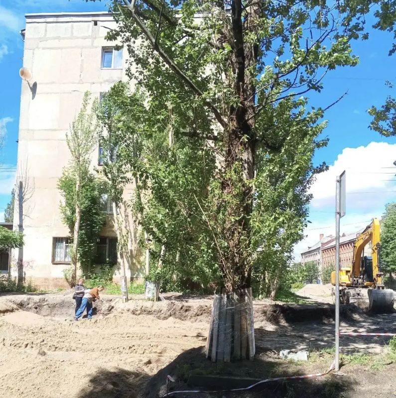 За повреждение зеленых насаждений на улице Полоцкой подрядчик будет привлечен к ответственности!