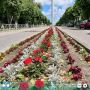 В Светлом поделились результатами работы по озеленению округа