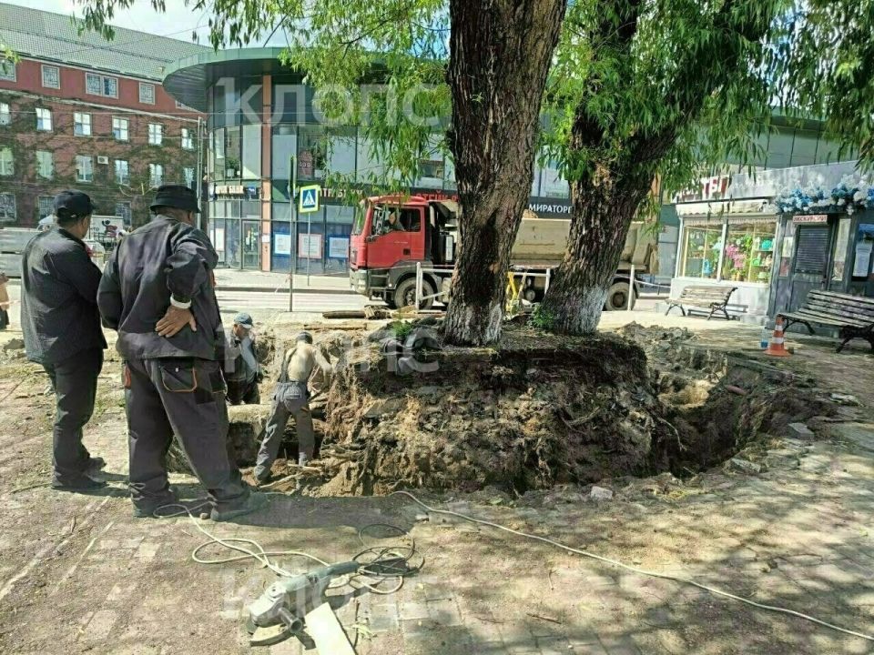У Северного вокзала выкопали глубокую траншею и обрубили корни большой ивы