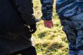 Хотели продать по частям: в Зеленоградска задержали криминальный дуэт, укравший скутер за 200 тысяч