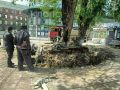 У Северного вокзала выкопали глубокую траншею и обрубили корни большой ивы