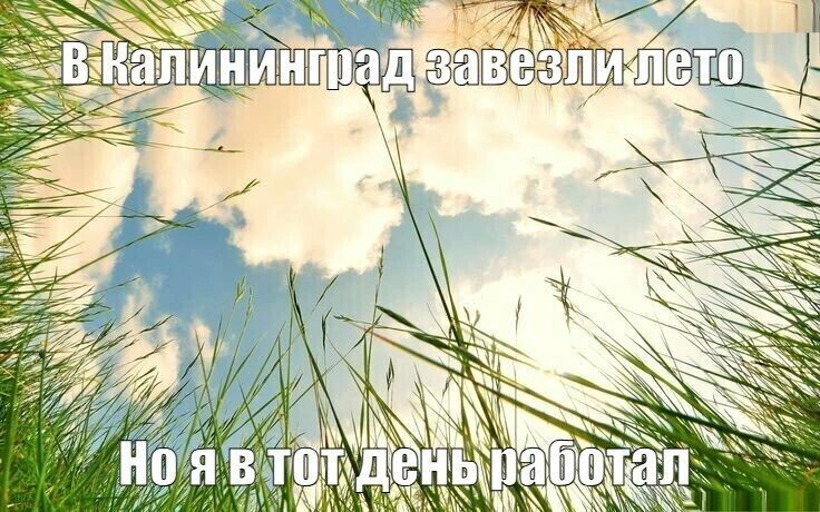 Жарко в Калининграде будет минимум до середины следующей недели