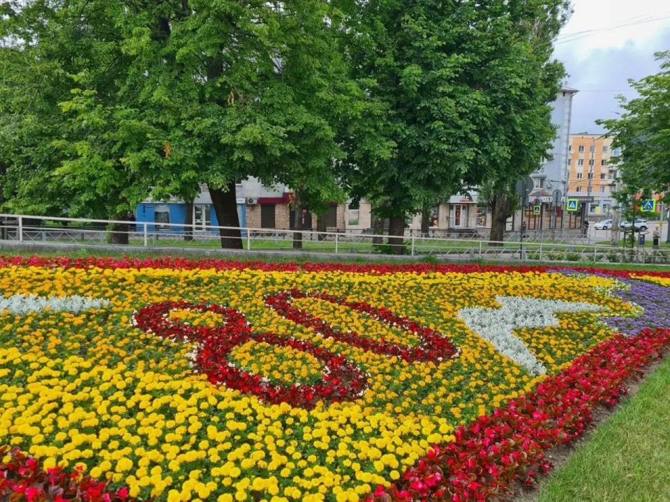 Город в цвете: что высаживают на клумбах Калининграда Город в цвете: что высаживают на клумбах Калининграда