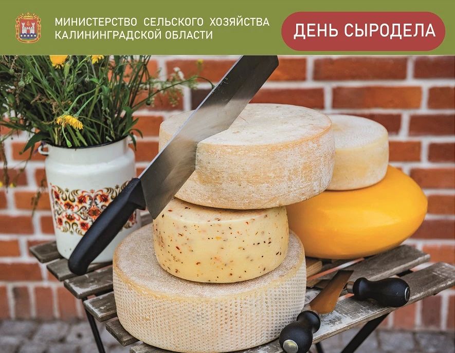 А вы знали, что в России в июне празднуют еще и День сыродела!