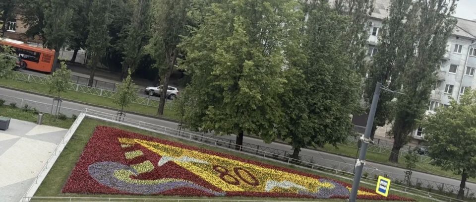 Елена Дятлова: Высаживаем в Калининграде летнюю рассаду, готовимся ко Дню города! Елена Дятлова: Высаживаем в Калининграде летнюю рассаду, готовимся ко Дню города!