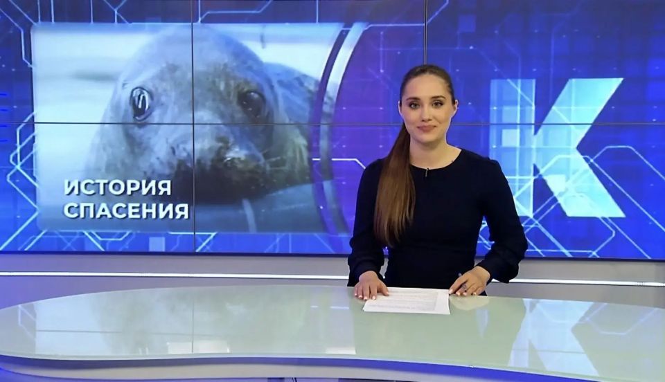 Из «болота» в новостройку, роковой кювет, история спасения и другие новости 19 июня