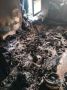На пожаре в Светлогорске погибла женщина