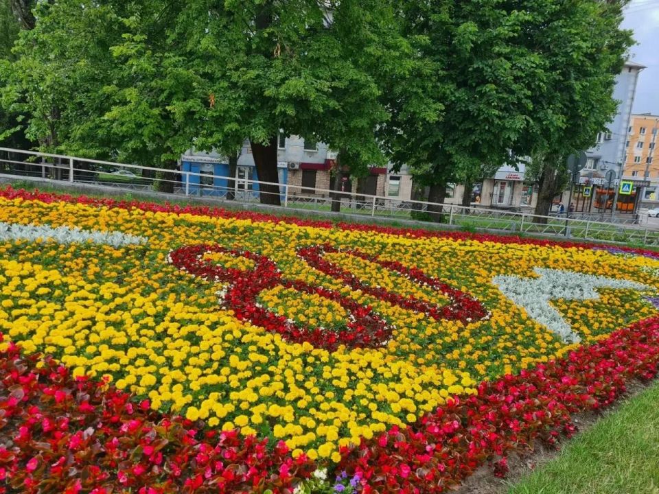 Город в цвете: что высаживают на клумбах Калининграда Город в цвете: что высаживают на клумбах Калининграда