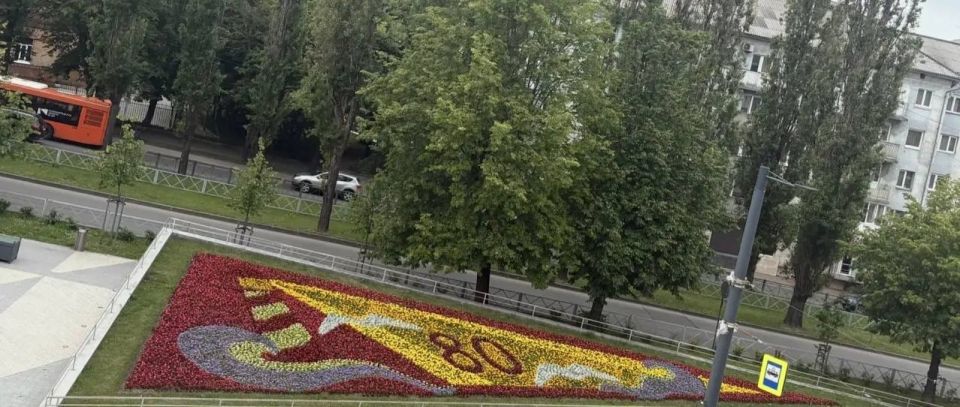 Город в цвете: что высаживают на клумбах Калининграда Город в цвете: что высаживают на клумбах Калининграда