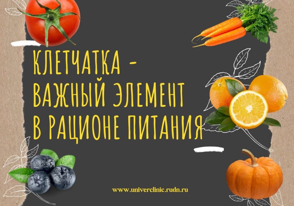 Клетчатка: ключ к здоровому питанию и крепкому кишечнику