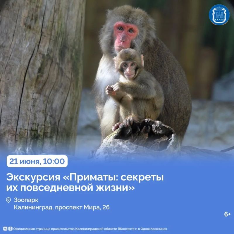 20 июня в парке культуры и отдыха имени Адмирала Головко в Балтийске пройдёт фестиваль «Очевидное – Невероятное» 20 июня в парке культуры и отдыха имени Адмирала Головко в Балтийске пройдёт фестиваль «Очевидное – Невероятное»