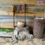 Сегодня, 20 июня, парк-музей «Ушкуй» приглашает на празднование Дня летнего солнцестояния
