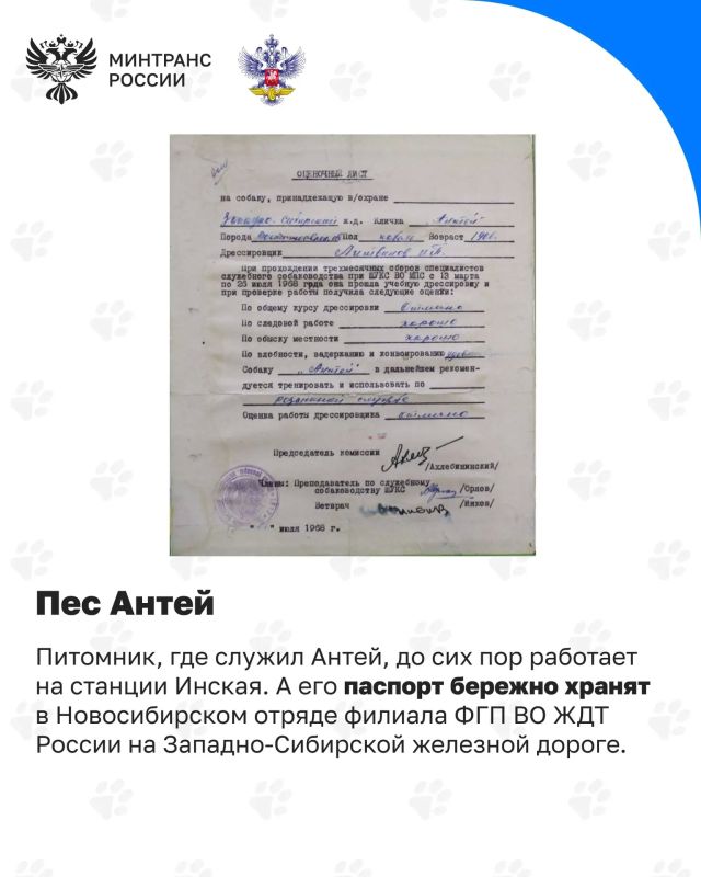 Сегодня отмечается День кинолога Сегодня отмечается День кинолога