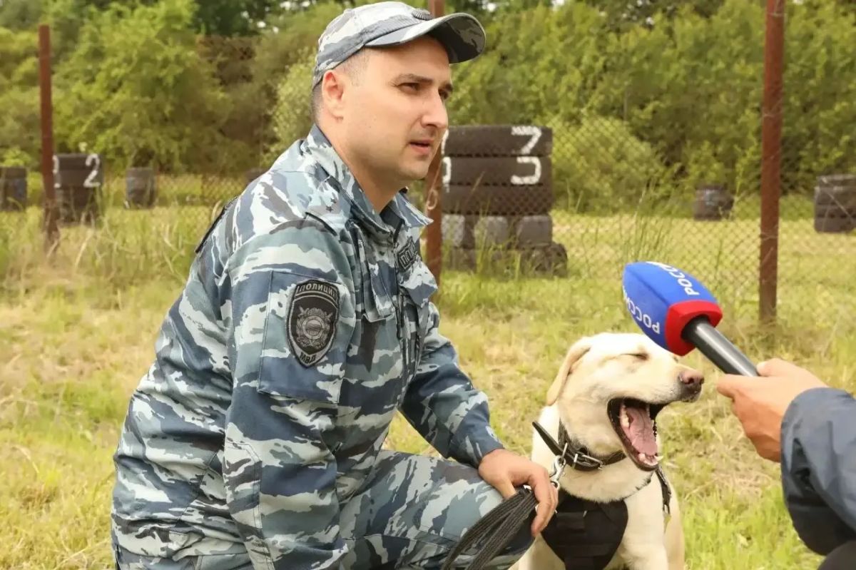 Полицейский-кинолог УМВД стала призёром открытого регионального первенства по многоборью Полицейский-кинолог УМВД стала призёром открытого регионального первенства по многоборью