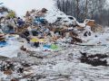 Торговцев мясом из Санкт-Петербурга карают за бардак в Калининграде