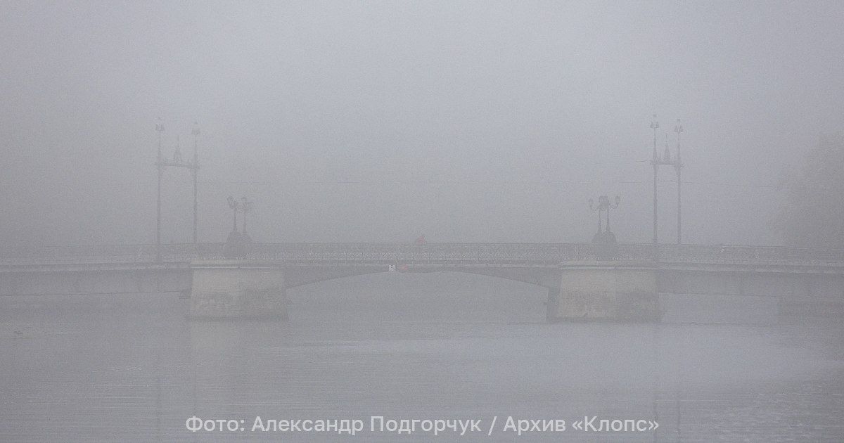 В ночном тумане видимость упадёт до 200 м: прогноз погоды в Калининграде и области на 23 июня