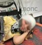 � �������� ����� ������ ����������� �������, ��� 5-������ ������� ����������� �� ����������� ���� � ������������