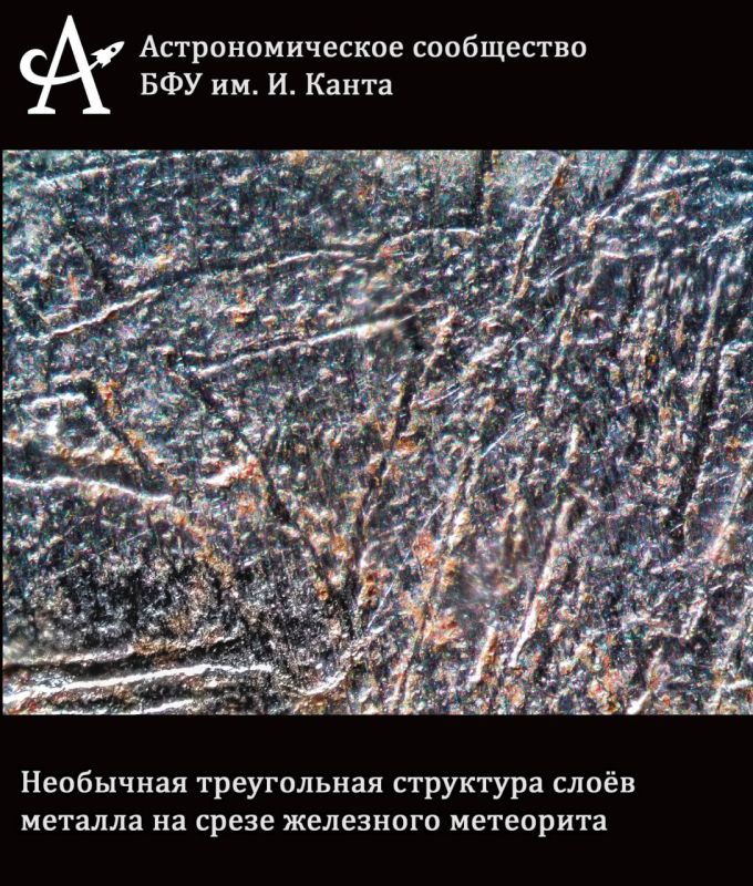 Погружаемся в микромир. Современные микроскопы и камеры позволяют увидеть не только далекие звёзды и туманности, но и скрытые красоты микромира Погружаемся в микромир. Современные микроскопы и камеры позволяют увидеть не только далекие звёзды и туманности, но и скрытые красоты микромира