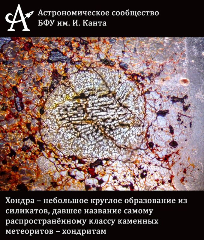 Погружаемся в микромир. Современные микроскопы и камеры позволяют увидеть не только далекие звёзды и туманности, но и скрытые красоты микромира Погружаемся в микромир. Современные микроскопы и камеры позволяют увидеть не только далекие звёзды и туманности, но и скрытые красоты микромира