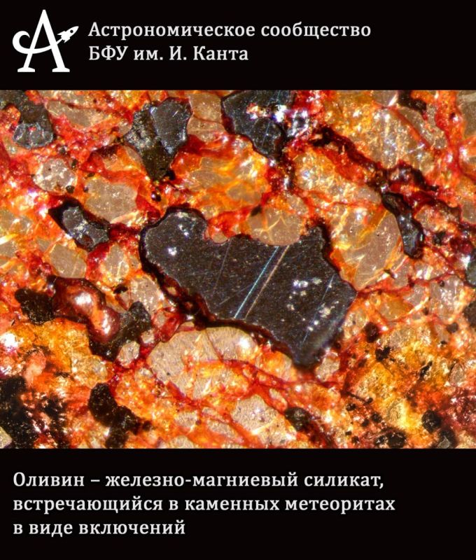 Погружаемся в микромир. Современные микроскопы и камеры позволяют увидеть не только далекие звёзды и туманности, но и скрытые красоты микромира Погружаемся в микромир. Современные микроскопы и камеры позволяют увидеть не только далекие звёзды и туманности, но и скрытые красоты микромира
