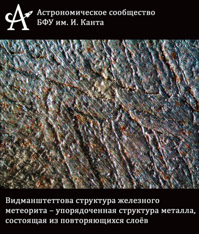 Погружаемся в микромир. Современные микроскопы и камеры позволяют увидеть не только далекие звёзды и туманности, но и скрытые красоты микромира Погружаемся в микромир. Современные микроскопы и камеры позволяют увидеть не только далекие звёзды и туманности, но и скрытые красоты микромира