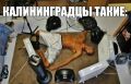 �� ���������� ���� �� +37 �������� ��� ������������ ������� ���� �������